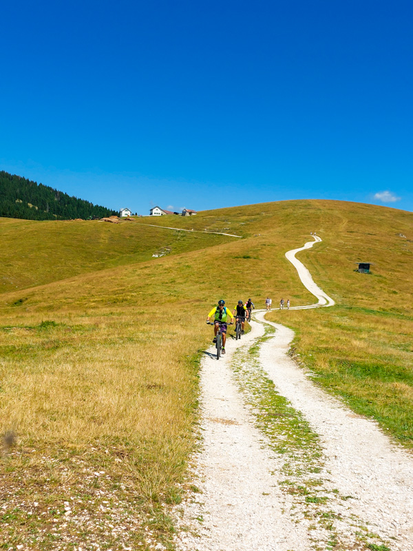 Ciclisti in arrivo da Malga Longara di Dietro