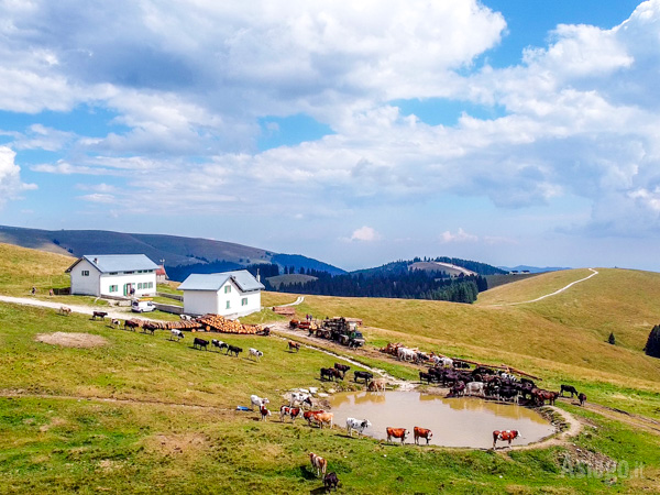 Paesaggio da Malga Longara di Dietro