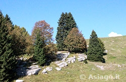 Paesaggio escursione Monte Longara