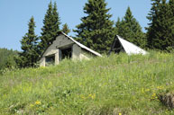 Shepherds hut