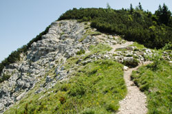 Sentiero per Cima Portule