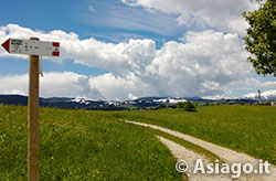 Itinerario Strada del Trenino Asiago - Sentiero tra i prati