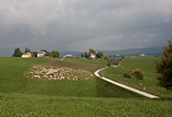 Path between the pastures