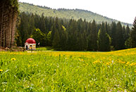 Capitello di S.Antonio in Val Magnaboschi