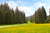 Near Val Magnaboschi cemeteries