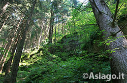 Val D'Assa Altopiano Asiago Val D'Assa Altopiano Asiago