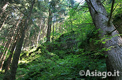 Val D'Assa Altopiano Asiago