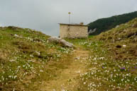 Bivouac near the Crossroad Italy