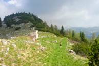 Camminando sul sentiero verde