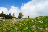 Typische Landschaft, zwischen den Felsen und grün