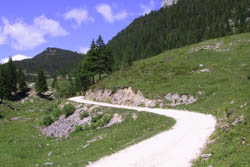 Sentiero da bivio italia a galmarara