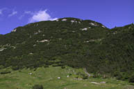 Galmarara views
