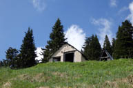 A small building surrounded by greenery