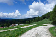 Weiße Straße zur Malga Lärche unter