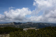 Typische Vegetation des Portule