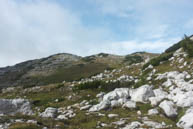 Monte Trentin