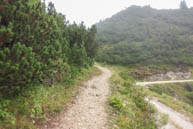 Busa Trail The