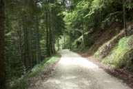 Waldweg Daumen