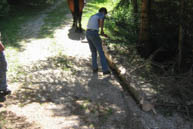 Timber extraction with horse and Balance