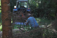 Schleudern Seilwinde Traktor mit Holz