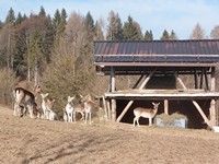 Excursion in the Path of the Senses in Enego - Saturday 13 August 2022