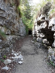 Granatiera Itinerario Tresche Conca Cengio