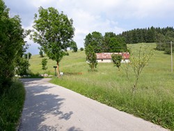 Bivio Malga Ronchetto val di Gevano