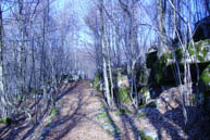 Wanderweg in Richtung Monte Zanchi Daumen