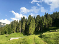 Einfache Wanderung Malga Pusterle