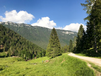 Escursione su Strada Sterrata Giro Malga Pusterle