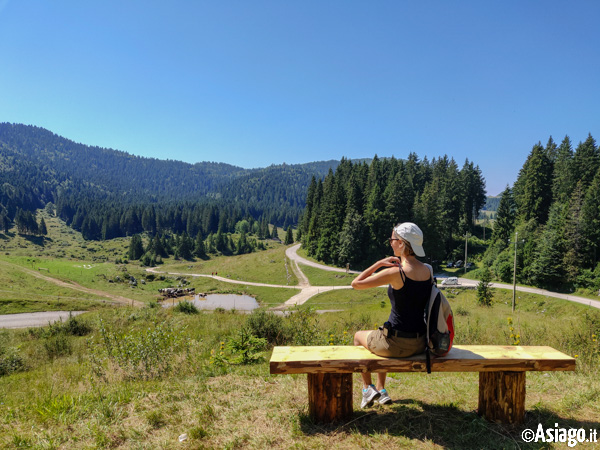 The View From the Bench of The Favaro Pool