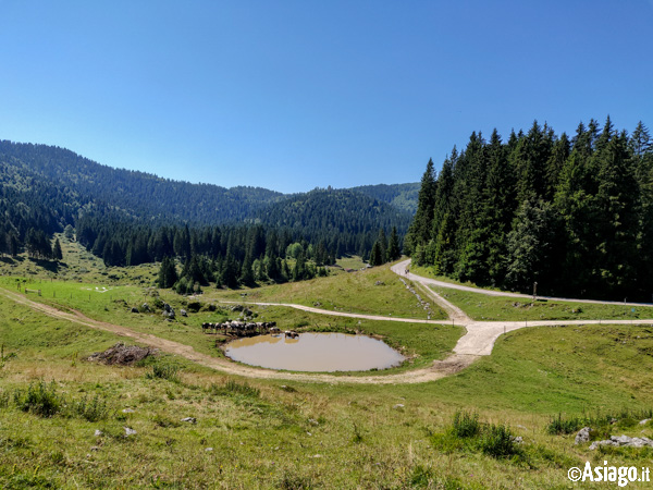 Blick auf den Pool von Favaro