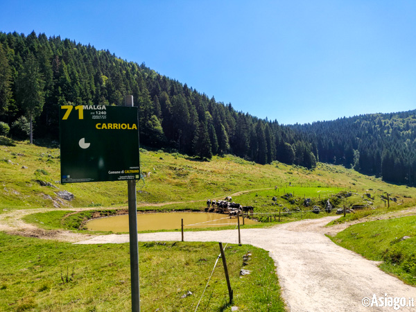 Der Weg nach Malga Carriola