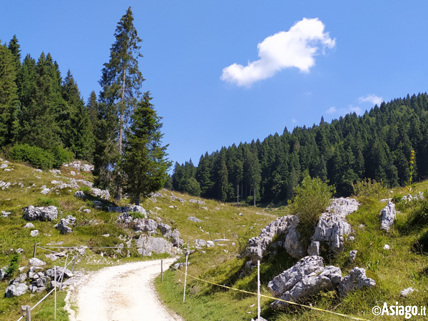 Sehen Sie sich die Route des Giro Delle Malghe di Caltrano an