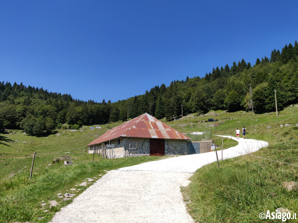 Sulla Strada di Ritorno da Malga Pau