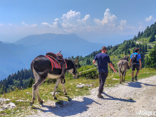 Trekking Someggia Along the Giro Delle Malghe in Caltrano