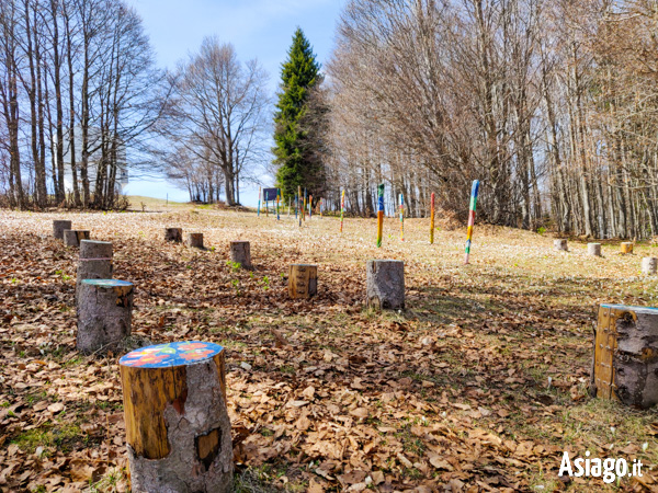 Klassenzimmer im Wald