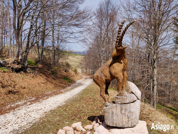 Steinbock