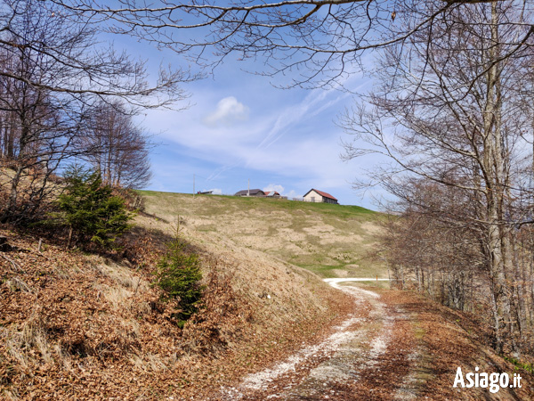 Malga Campo Costalunga dal Sentiero