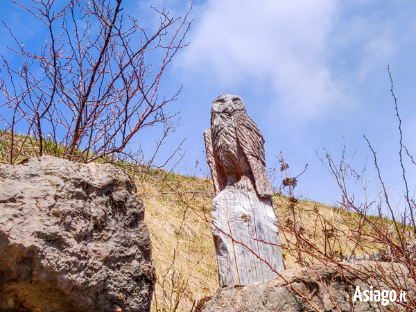 Horizontal Owl