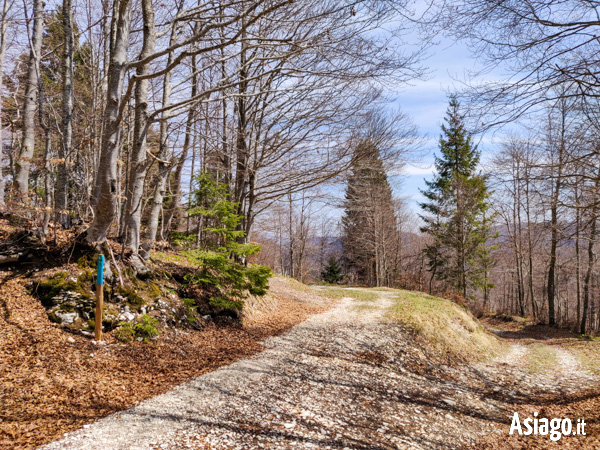 Along the Path