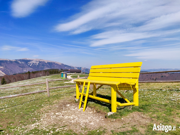 the Yellow Giant Bench