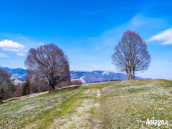 Rückblick