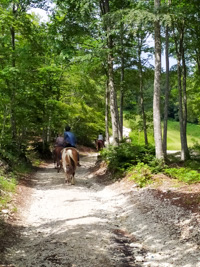Menschen zu Pferd auf Uneaster Trail Route Malga Green