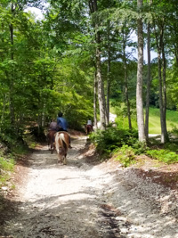 Persone a Cavallo su Sentiero Sterrato Itinerario Malga Verde