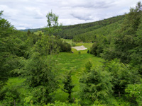 Blick auf die Wiesen von der Malga Green Route
