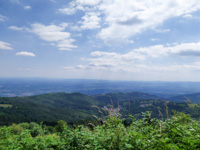 Vista panoramica escursione malga verde