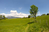 Passage through a meadow Near Strong Corbin