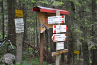 Signs along the road of Carlton