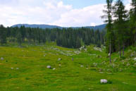 Prairie to Malga Fossetta